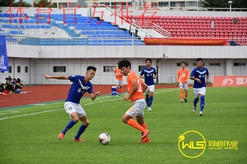 江西绝平海南 保定客胜青岛